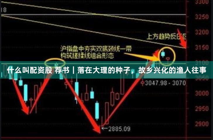 什么叫配资股 荐书｜落在大理的种子，故乡兴化的渔人往事