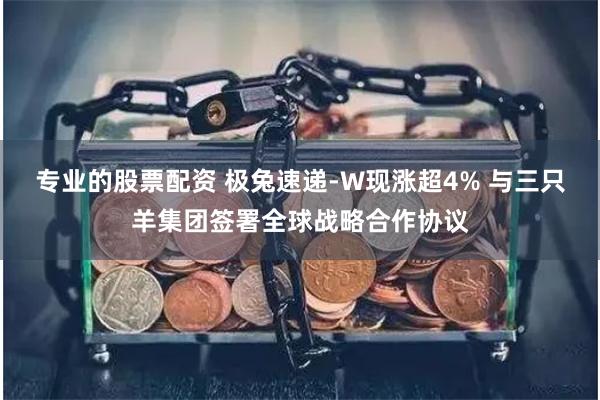 专业的股票配资 极兔速递-W现涨超4% 与三只羊集团签署全球战略合作协议