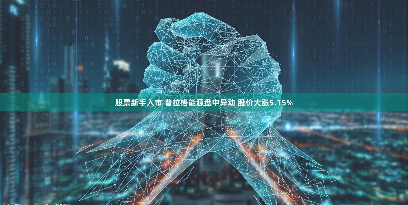 股票新手入市 普拉格能源盘中异动 股价大涨5.15%